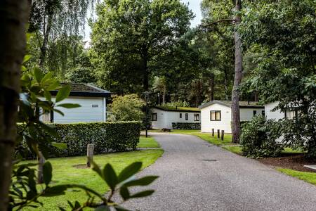 Holiday homes at holiday park Roompot Bospark de Schaapskooi