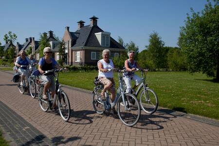 People cycle over the Roompot Buitenplaats De Hildenberg holiday park
