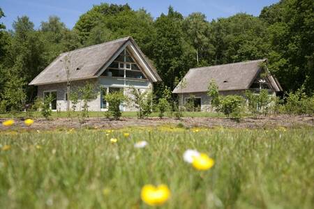 2 holiday homes with thatched roofs at the Roompot holiday park Buitenplaats De Marke van Ruinen