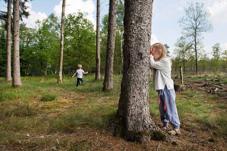 Children play in the Veluwe woods around Roompot Bungalowpark Hoenderloo