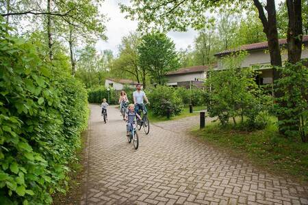 Family cycles through the wooded holiday park Roompot Bungalowpark Hoenderloo