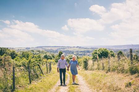 Beautiful hilly area of South Limburg around Roompot Bungalow Park Schin op Geul