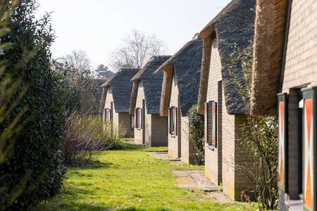 Thatched cottages at the Roompot De Veluwse Hoevegaerde holiday park