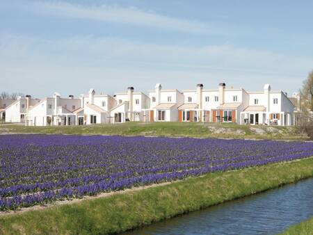 Holiday homes along the bulb fields at the Roompot Duinresort Dunimar holiday park