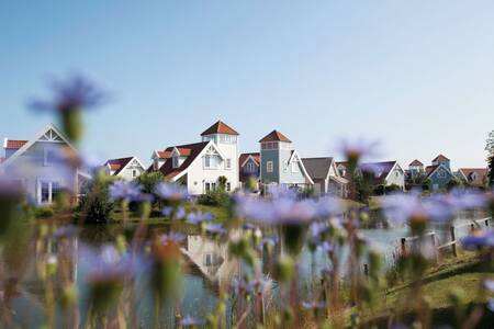 Holiday homes on the water at the Roompot Duynparc holiday park De Heeren van 's-Gravensande