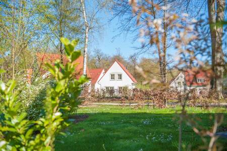 Holiday homes in the countryside at the Roompot Ferienresort Bad Bentheim holiday park