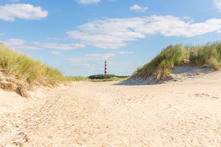 Beach and dunes of Ameland