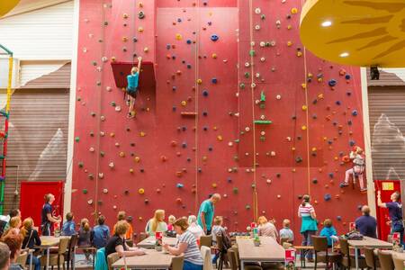 Large climbing wall at Roompot Holiday Park Weerterbergen