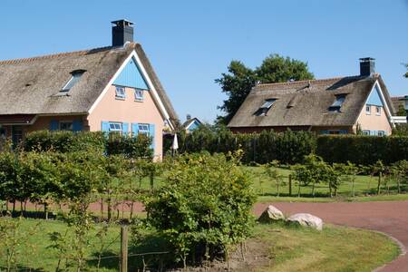 Detached thatched holiday homes at the Roompot Kustpark Texel holiday park