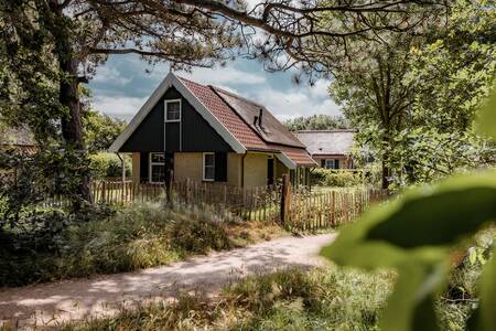 A detached holiday home at the Roompot Kustpark Texel holiday park