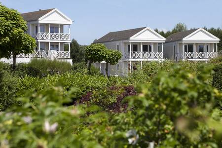 Beautiful holiday homes at the Roompot North Sea holiday park Résidence De Banjaard