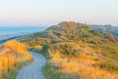 Path through the dunes to the beach on the North Sea - Roompot North Sea Resort Vlissingen