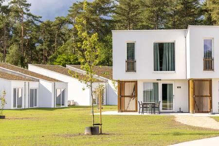 Holiday homes around a lawn at the Roompot Park Eksel holiday park