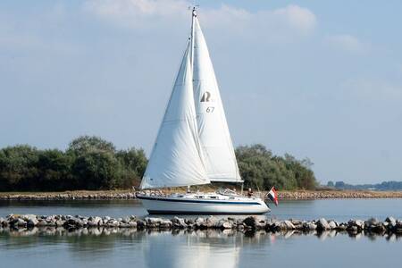 Sailing boat on the Grevelingenmeer near holiday park Roompot Park Zeedijk