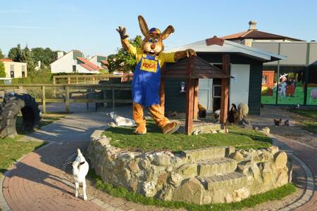 Koos rabbit, Roompot's mascot, in the petting zoo of the Roompot Resort Arcen holiday park