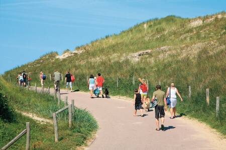 Walking path between the dunes to the sea from the Roompot Resort Duynzicht holiday park