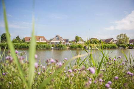 Detached holiday homes on the water at the Roompot Zeebad holiday park