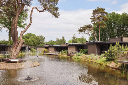 Holiday homes on a pond at the Soof Retreats Soof Heuvelrug holiday park
