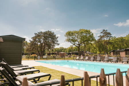 The outdoor pool of the Soof Retreats Soof Heuvelrug holiday park