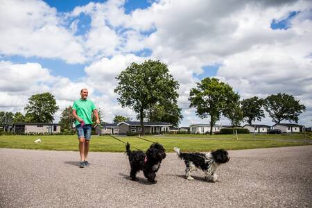 Man with dogs walks in front of holiday homes at the Topparken Park Westerkogge holiday park