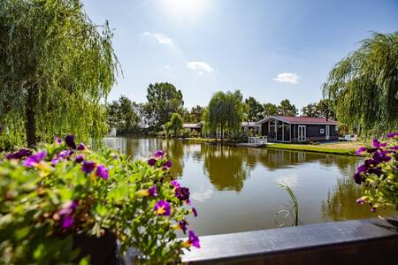 Holiday homes on the water at the Topparken Residence Lichtenvoorde holiday park