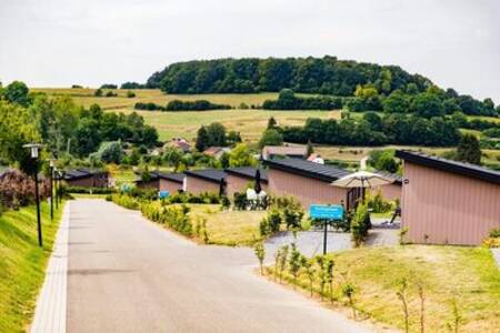 Holiday homes along an avenue at the Topparken Résidence Valkenburg holiday park