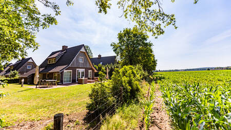 Holiday homes at the Villapark Hof van Salland holiday park