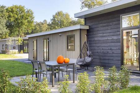 Holiday home type Boslodge Wellness for 4 people at holiday park Bospark Markelo