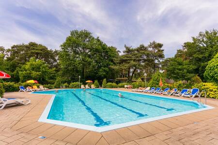 The outdoor swimming pool of holiday park Bospark Markelo with lovely sun loungers