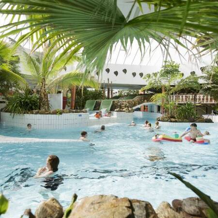 subtropical swimming paradise at Center Parcs Park Eifel