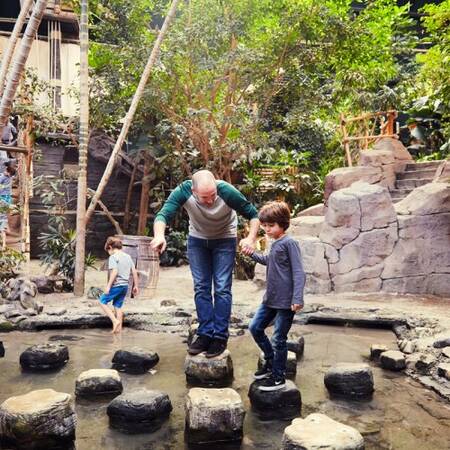 Discovery Bay at Center Parcs de Vossemeren