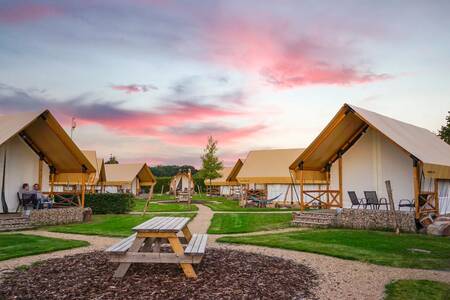 Glamping tents on a field at the EuroParcs Poort van Maastricht holiday park