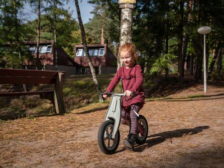 holiday homes at Het Vennenbos