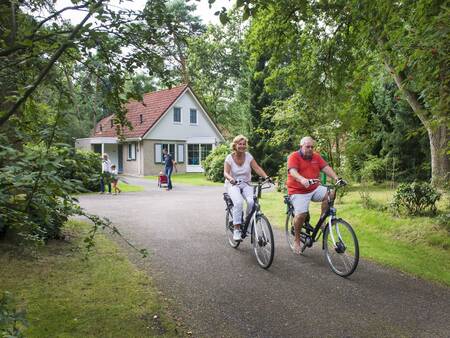 Holiday home on holiday park Landal De Vlegge